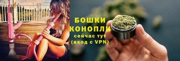 сатива Абдулино