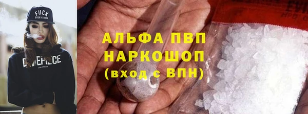 индика Абинск