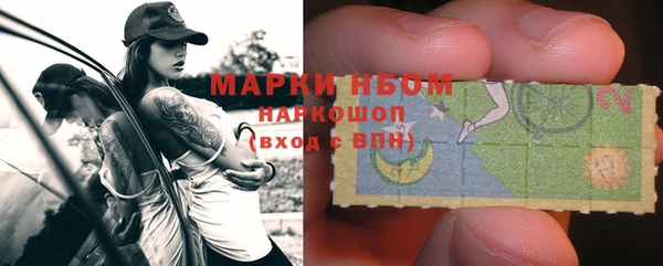 индика Абинск
