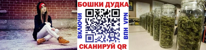 Бошки марихуана Amnesia  дарнет шоп  Абдулино 